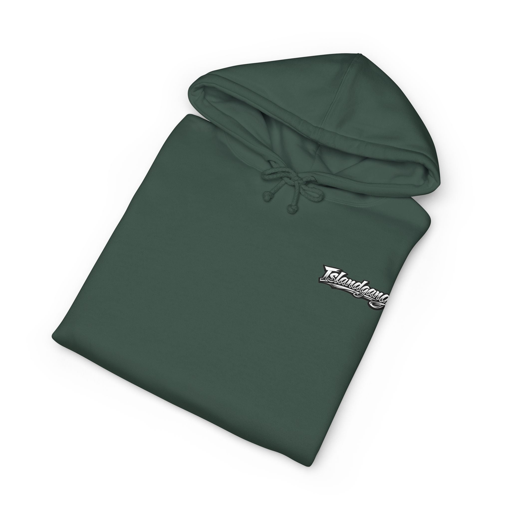 Island Tour Hoodie — Vintage Palm Beach Graphic Hooded Sweatshirt