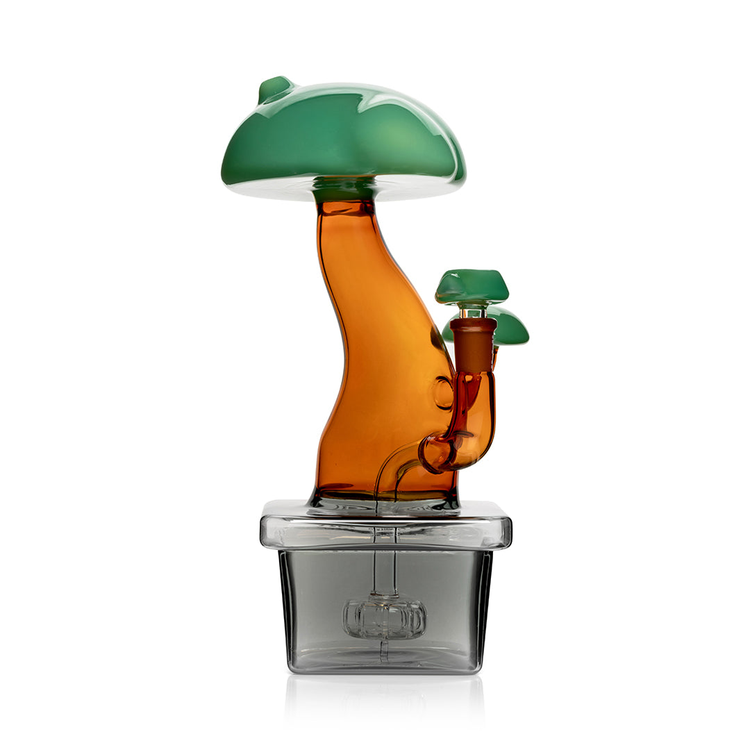 Hemper 10” XL Bonsai Tree Bong