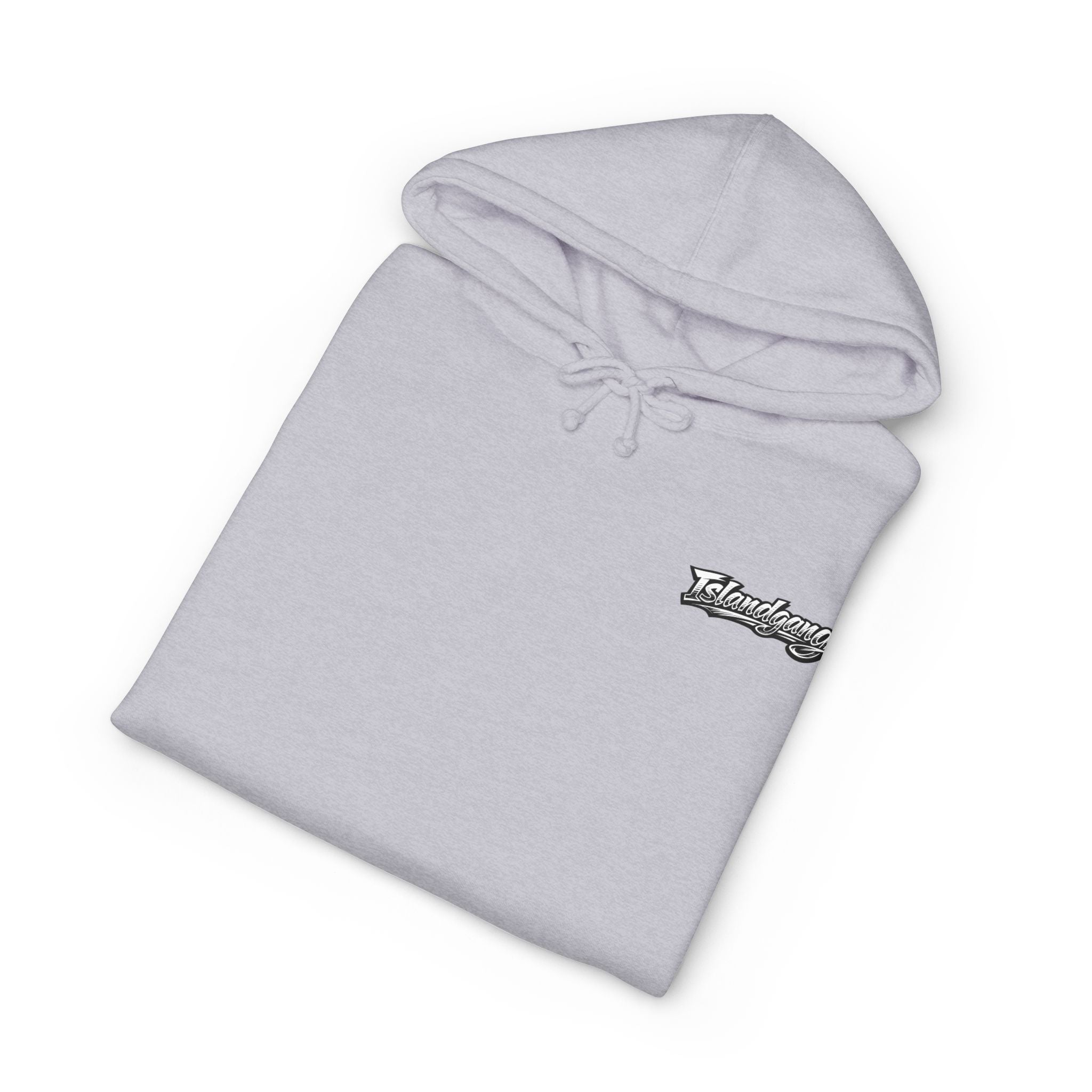 Island Tour Hoodie — Vintage Palm Beach Graphic Hooded Sweatshirt